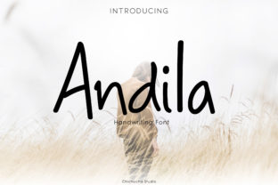 Andila: A Playful Display Font That Actually Works