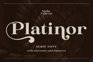 Platinor: The Serif Font That Elevates Handmade Crafts