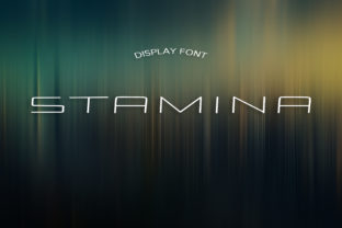 Stamina Font: The Sophisticated Display Typeface for Campaigns